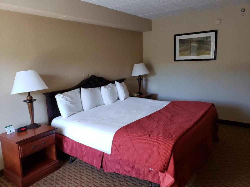 Bi-Level King Suite interior